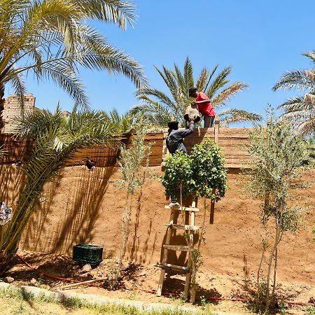 Paradis Touareg Zagora Exterior foto